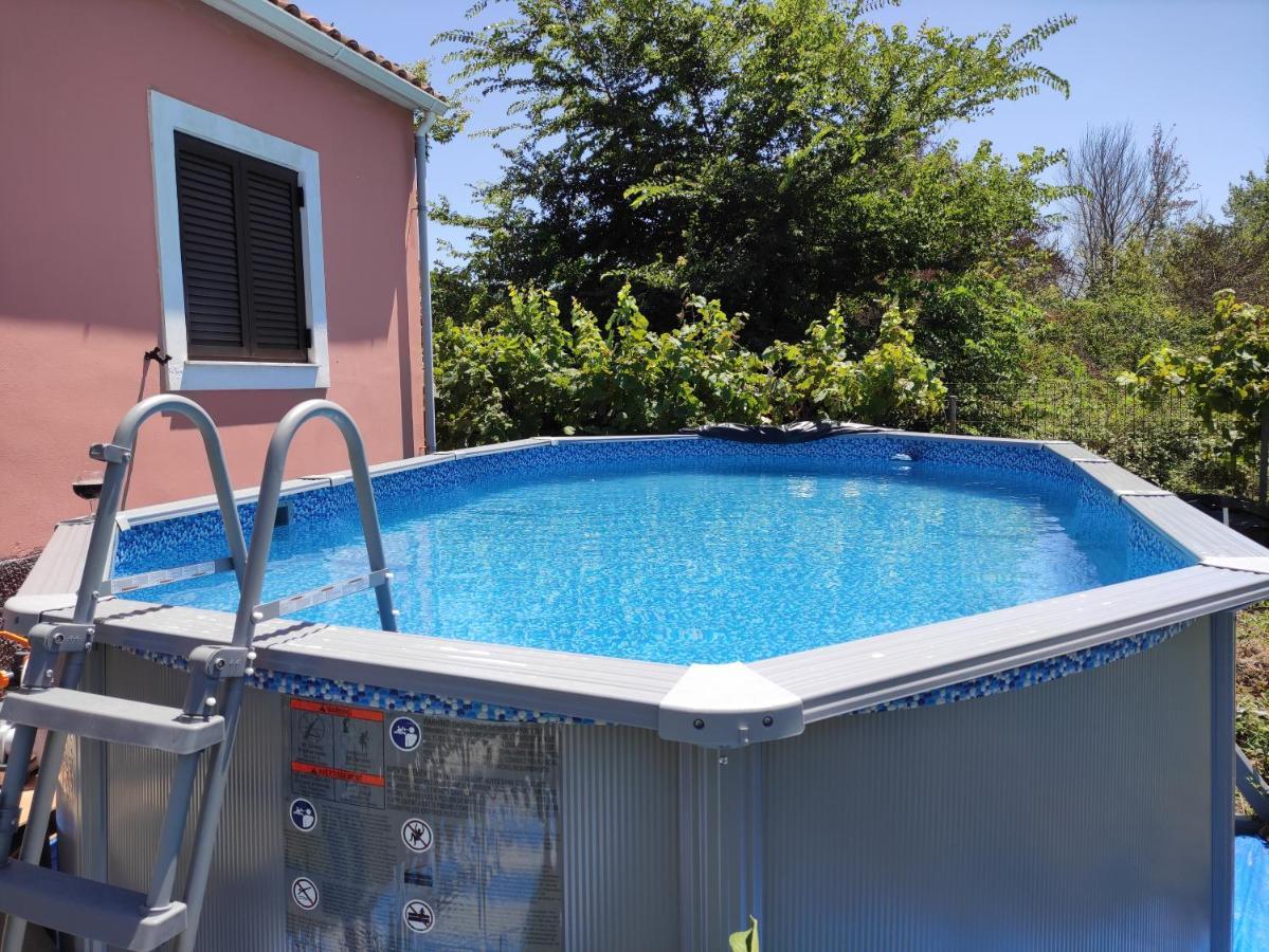 Beautiful Nearby House With Garden, Private Pool And Large Yard *